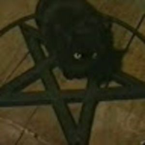 Meet your Posher, Coffingoth